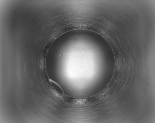X0000071790474200607150125