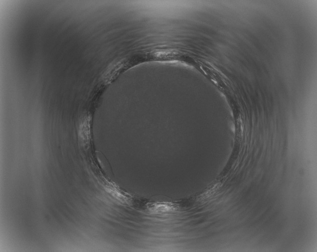 X0000071790475200607150125