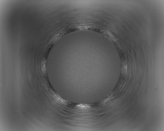 X0000071790477200607150125