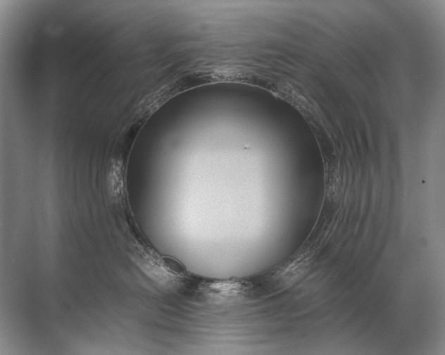 X0000071790478200607150125