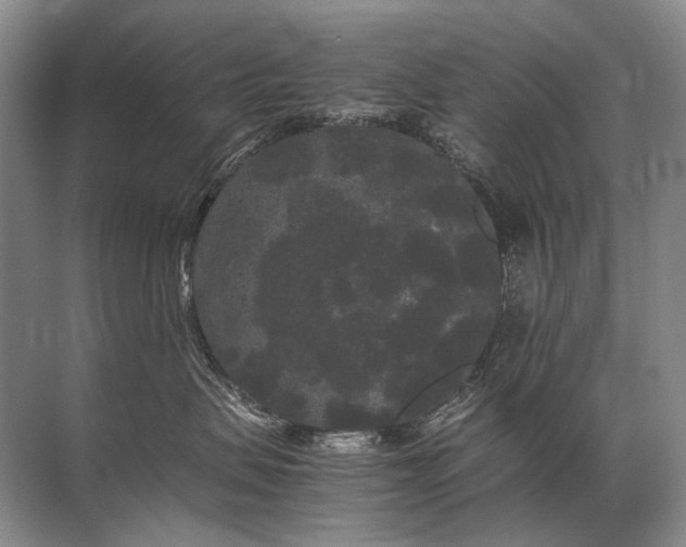 X0000071790479200607150125
