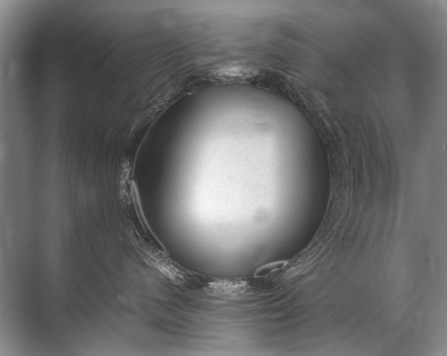 X0000071790480200607150125