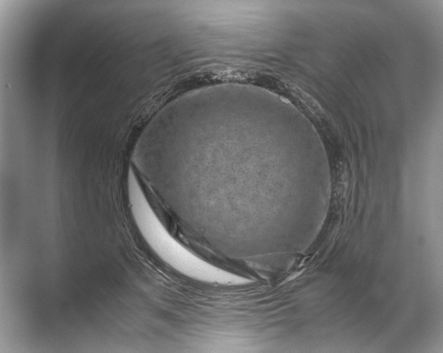X0000071790513200607150124