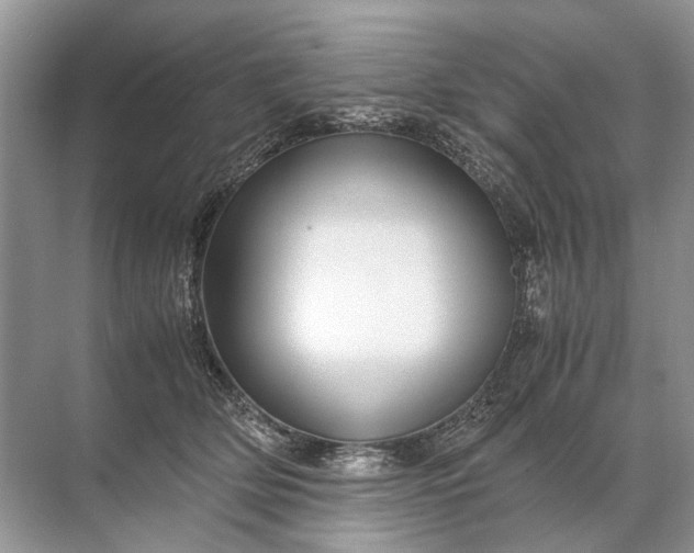 X0000071790514200607150124