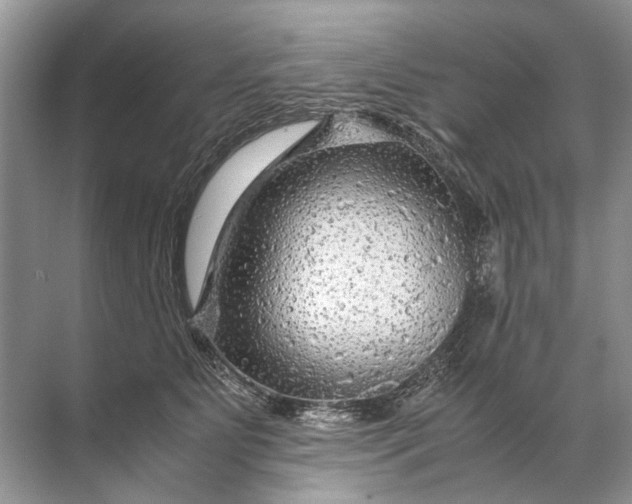 X0000071790515200607150124