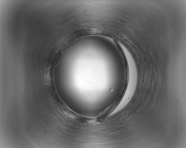 X0000071790516200607150124