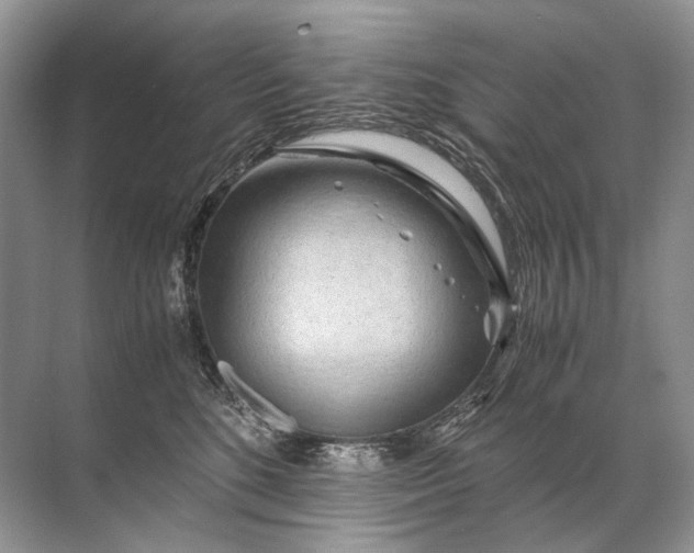 X0000071790520200607150124