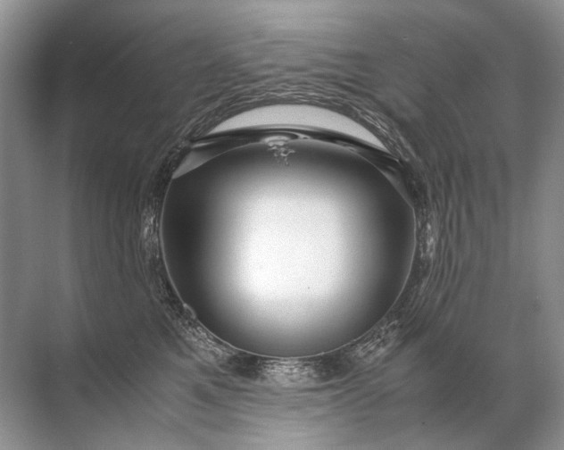X0000071790521200607150124