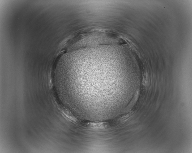 X0000071790524200607150124