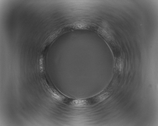 X0000071790526200607150124