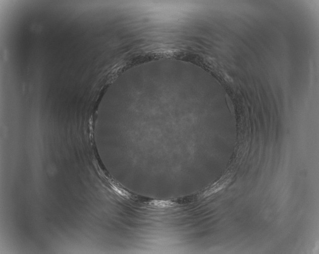 X0000071790528200607150124