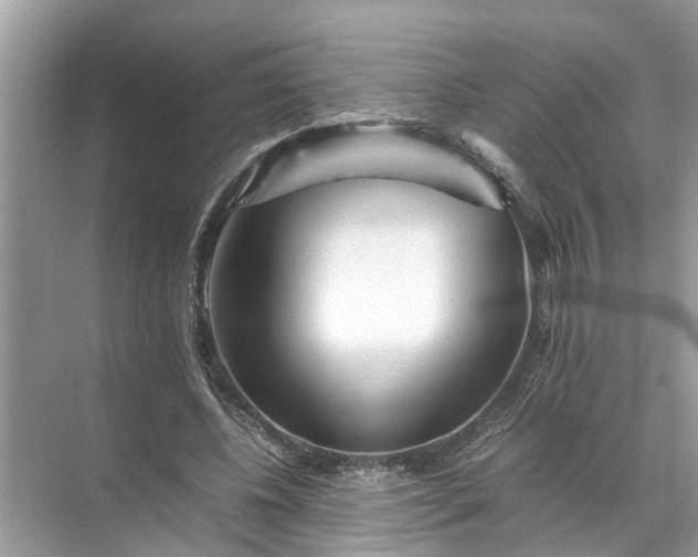 X0000071790540200607150123