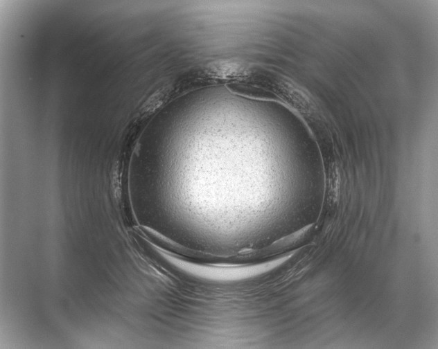 X0000071790558200607150124