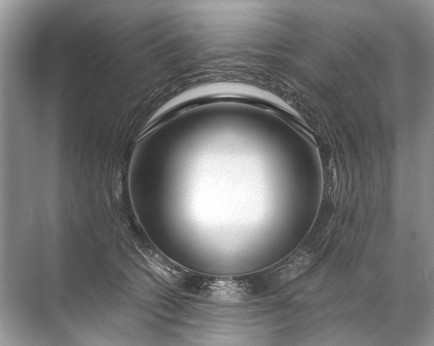 X0000071790562200607150124