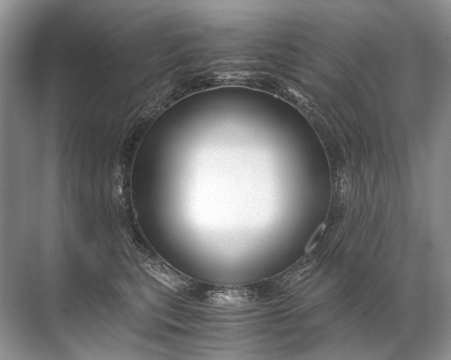 X0000071790567200607150124