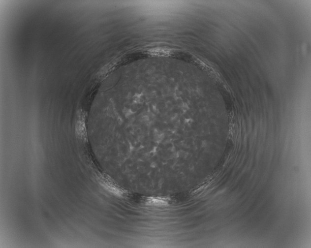 X0000071790573200607150124
