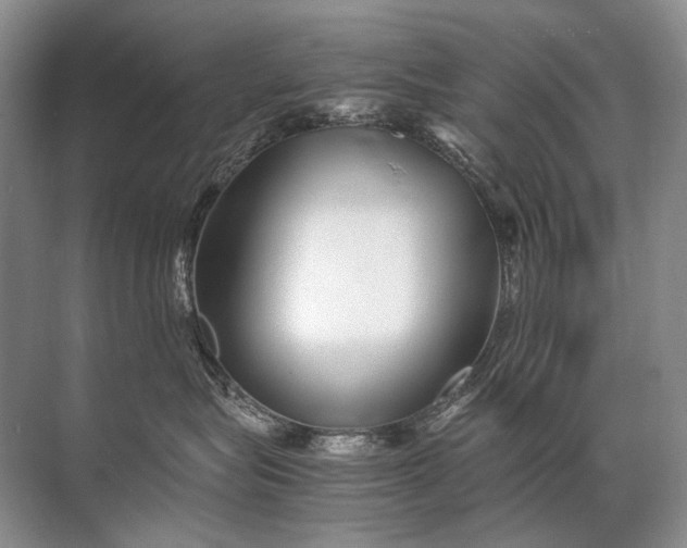 X0000071790575200607150124