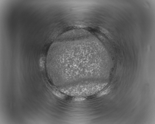 X0000071790576200607150124