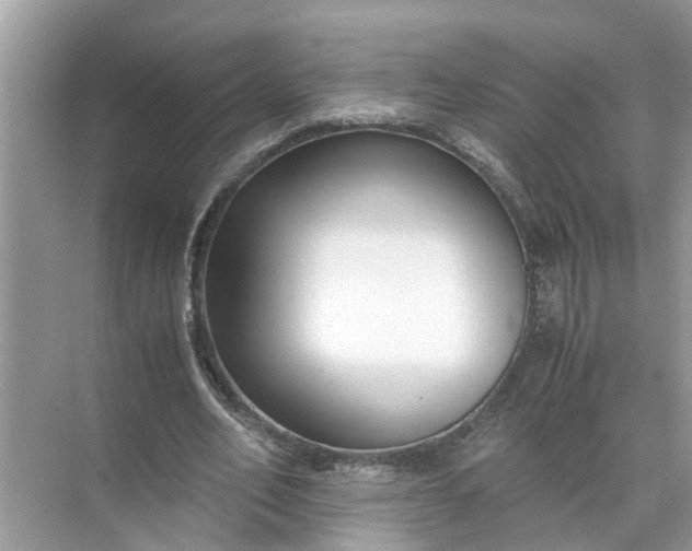 X0000071790582200607150123