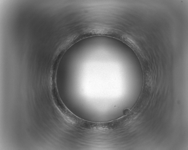 X0000071790586200607150123