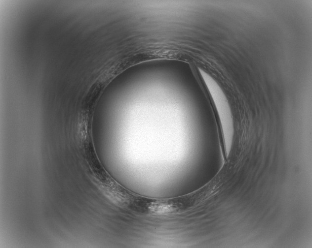 X0000071790602200607150123