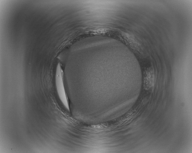 X0000071790608200607150123