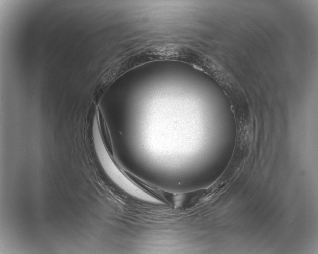 X0000071790609200607150123