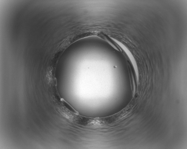 X0000071790611200607150122
