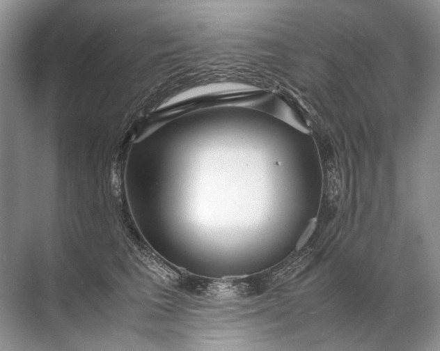 X0000071790613200607150122