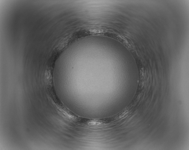 X0000071790614200607150122