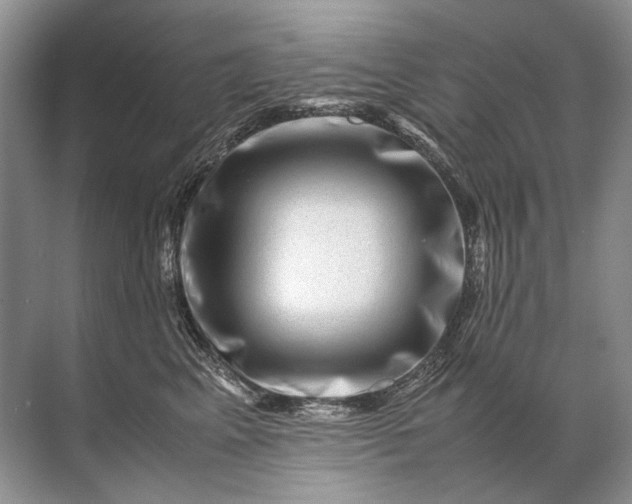 X0000071790617200607150122