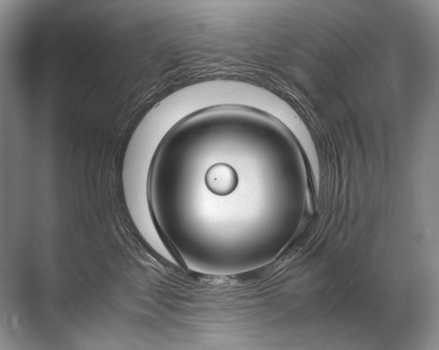 X0000071790621200607150122