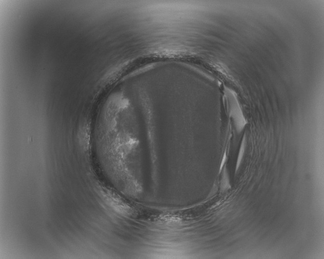 X0000071790640200607150122