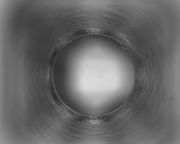 X0000071790645200607150122