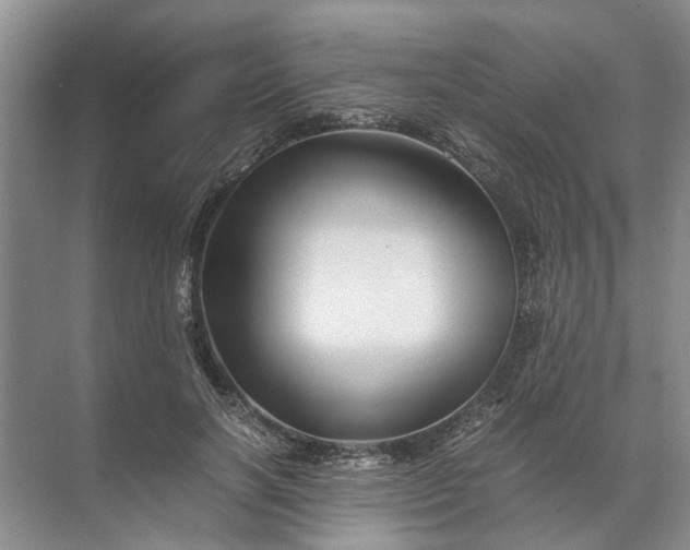 X0000071790646200607150122