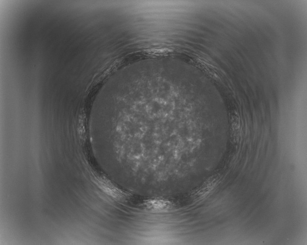 X0000071790654200607150122