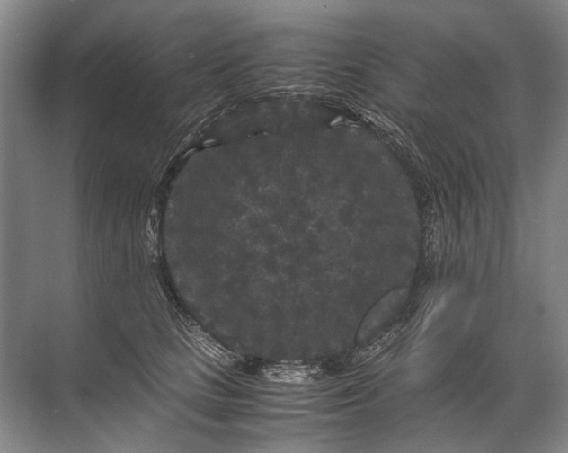 X0000071790661200607150122