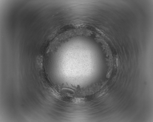 X0000071790664200607150122