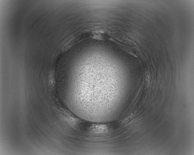 X0000071790665200607150122