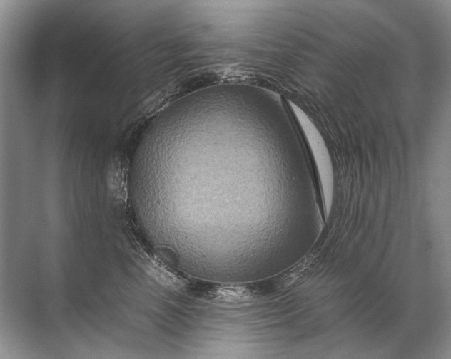 X0000071790666200607150122