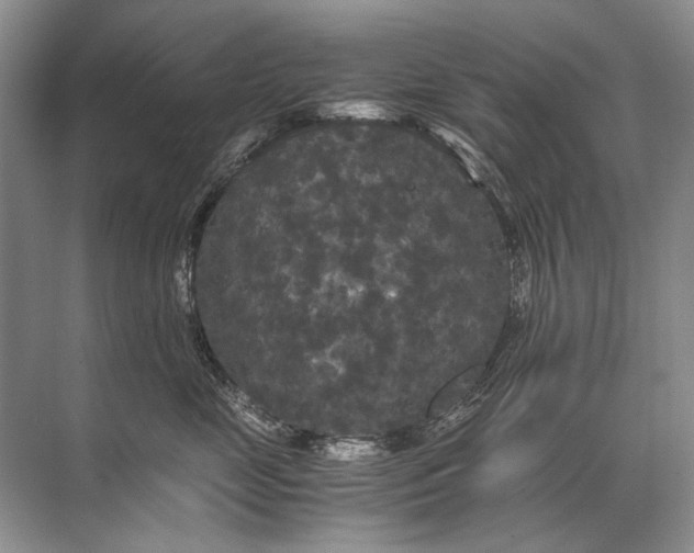 X0000071790669200607150122