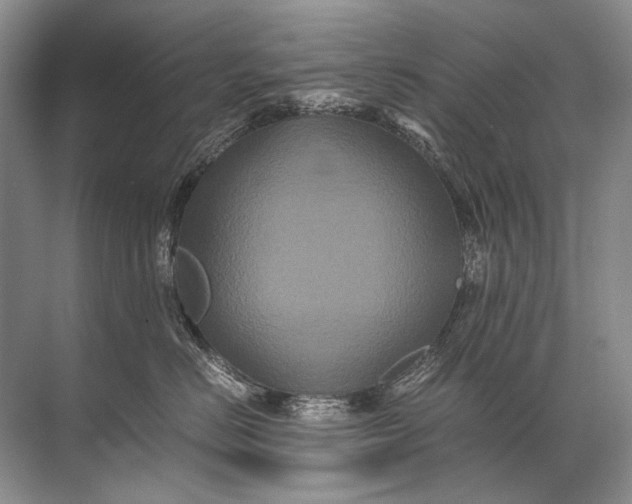 X0000071790670200607150122