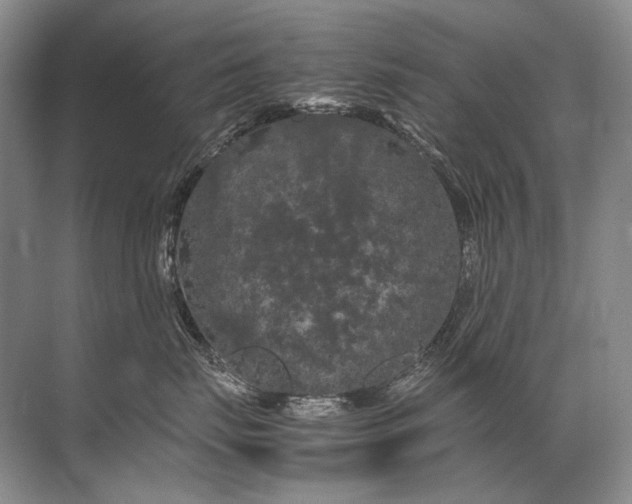 X0000071790671200607150122