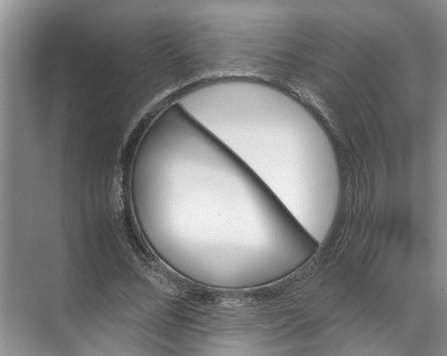 X0000071790684200607150121