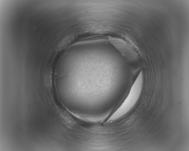 X0000071790685200607150121