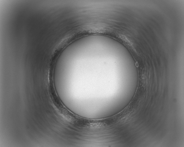 X0000071790686200607150121