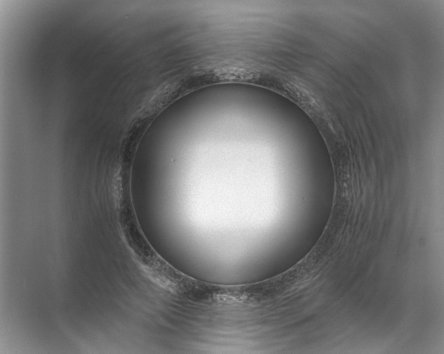 X0000071790690200607150121