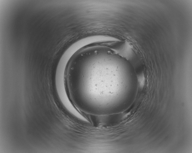 X0000071790693200607150121