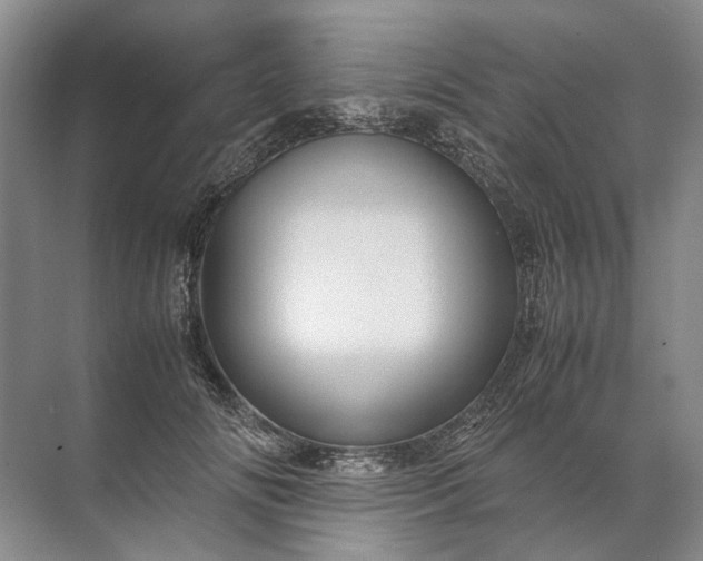 X0000071790702200607150121