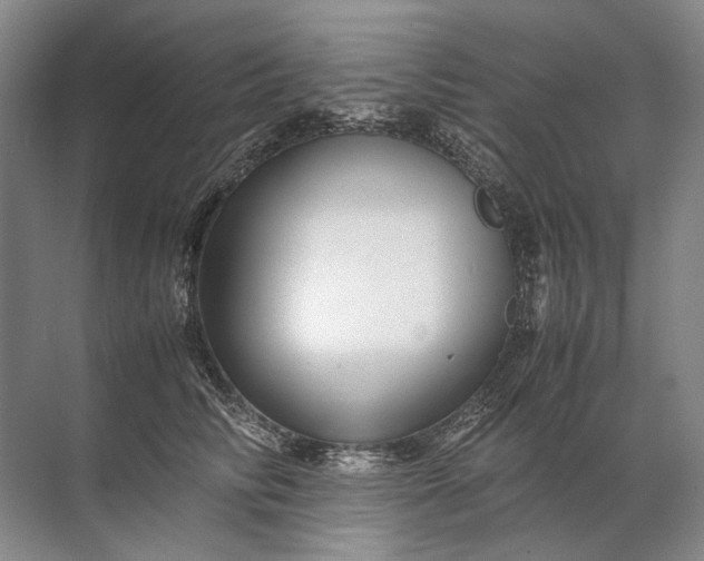 X0000071790710200607150121